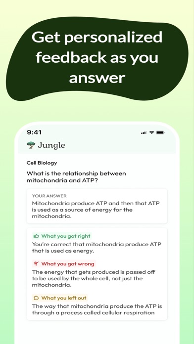 Jungle screenshot 2